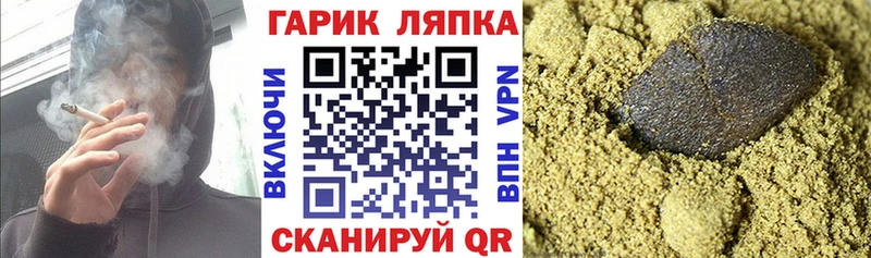 ГАШ Изолятор  Новомосковск 