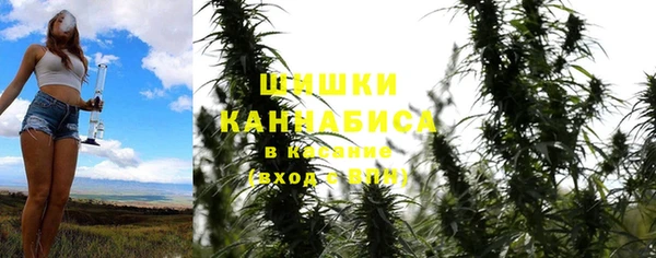 СК Аркадак